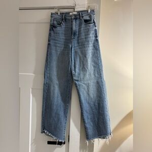 HIDDEN wide leg jeans
